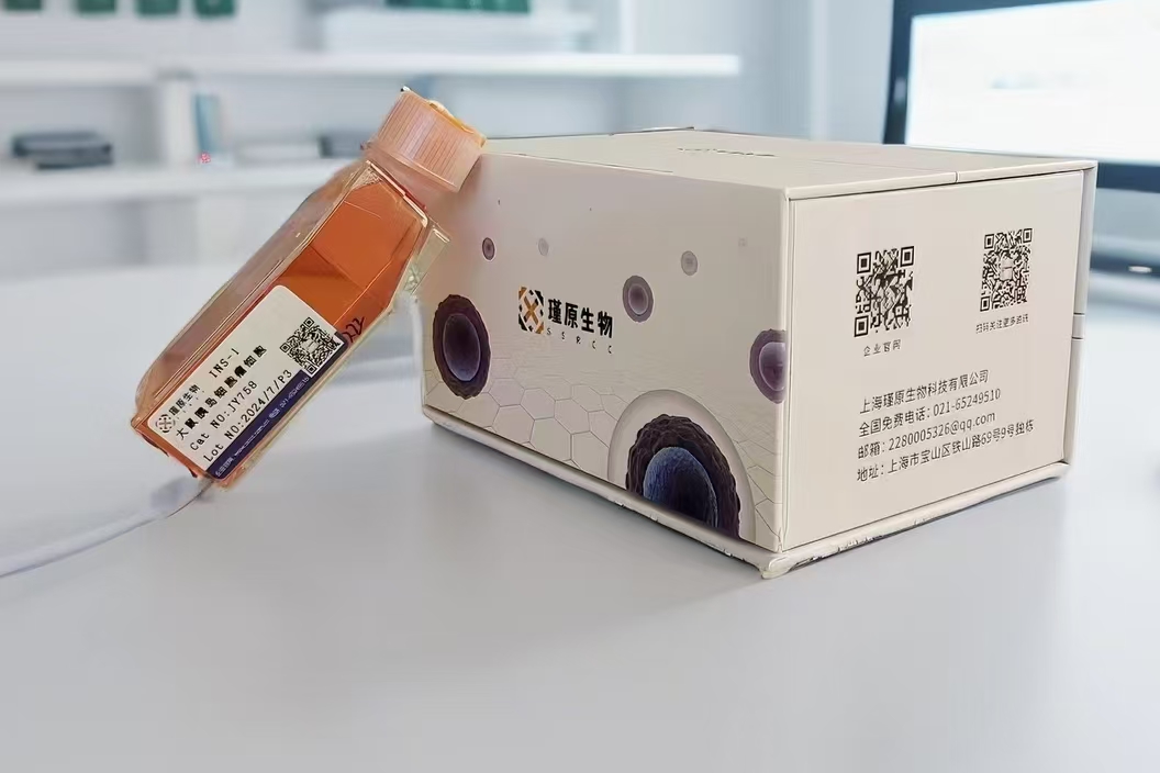 小鼠鳞状癌细胞稳定表达荧光素酶SCC7+luc(STR鉴定正确)