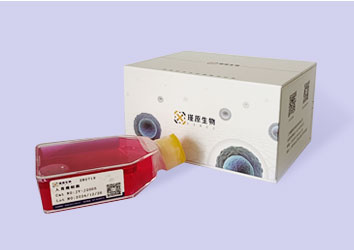 小鼠胶质母细胞瘤CT-2A(STR鉴定正确)