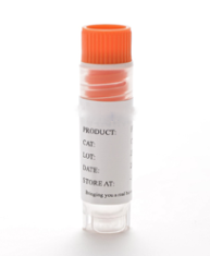 人源CD8+ Cytotoxic T Cells, Negative Selection